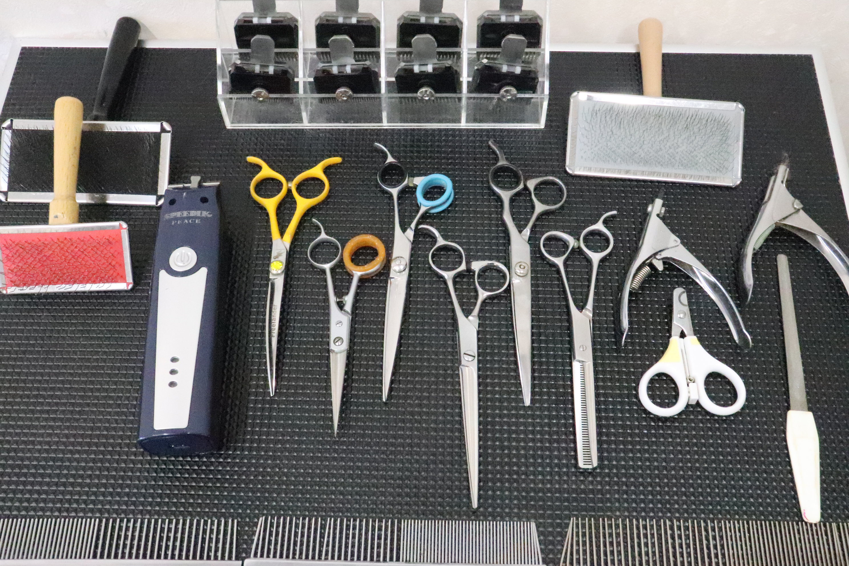 �g���~���O�T���� �����s