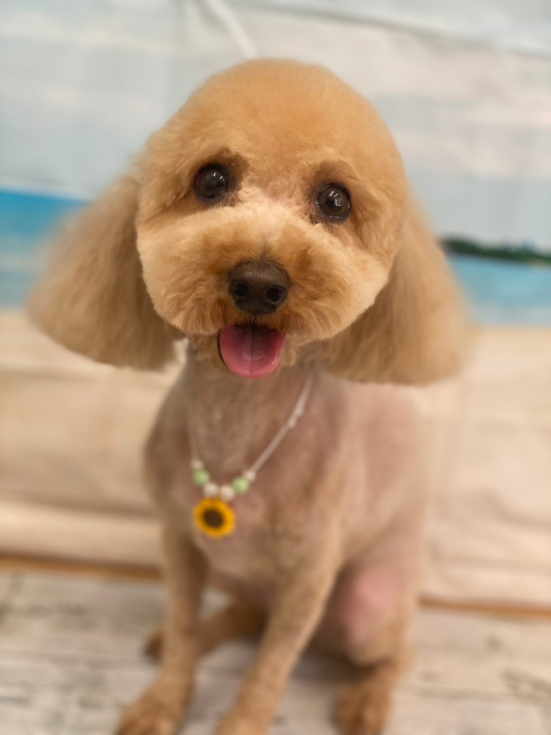 �I���[�W�� 7���̂��q�l