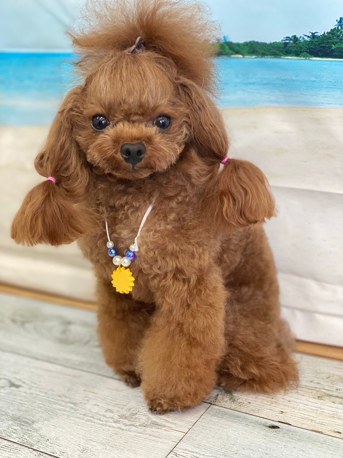 �I���[�W�� 7���̂��q�l