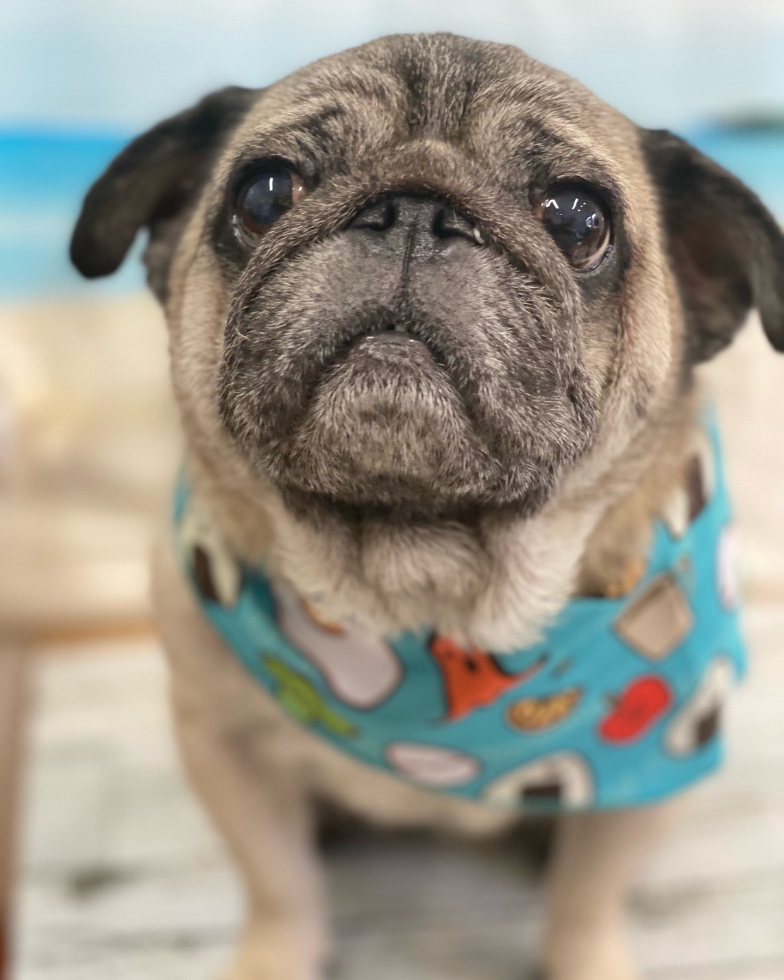 �I���[�W�� 7���̂��q�l